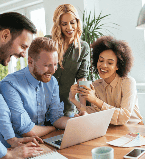 Product Owner Roles