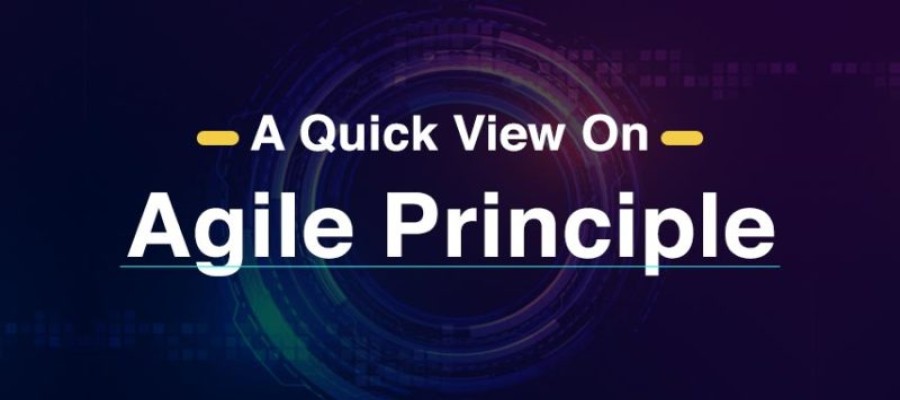 The 12 Basic Principles of Agile Project Management